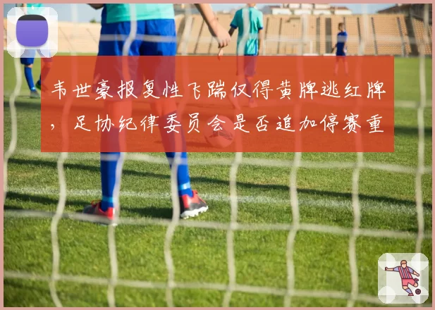 韦世豪报复性飞踹仅得黄牌逃红牌，足协纪律委员会是否追加停赛重罚？