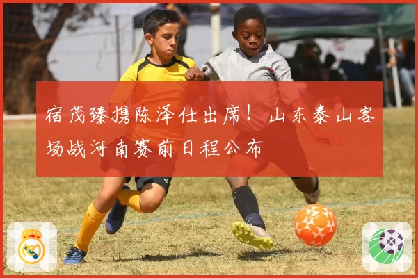 宿茂臻携陈泽仕出席!山东泰山客场战河南赛前日程公布