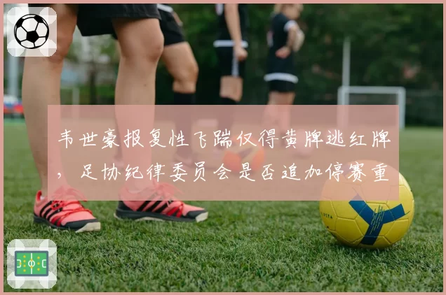 韦世豪报复性飞踹仅得黄牌逃红牌，足协纪律委员会是否追加停赛重罚？
